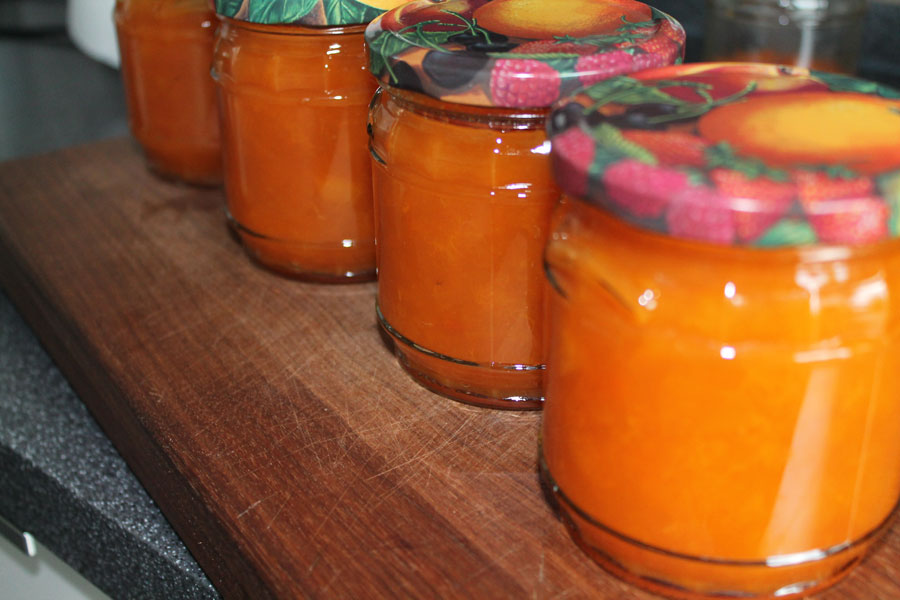Aprikosen Marmelade selber machen
