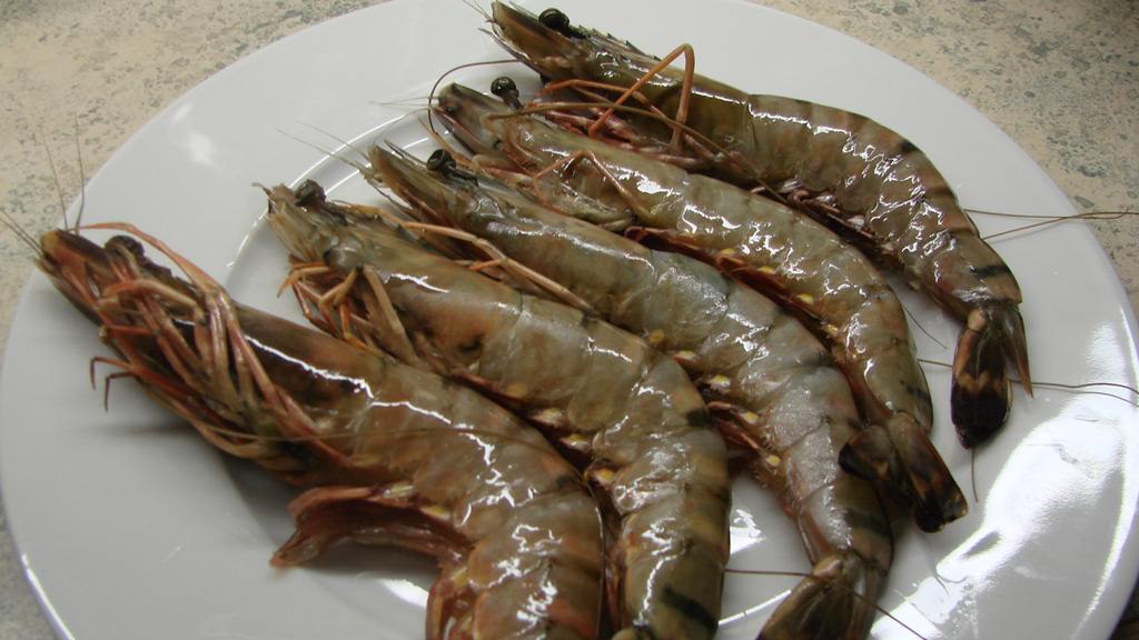 Black Tiger Garnelen im Oliven Knoblauch Sud