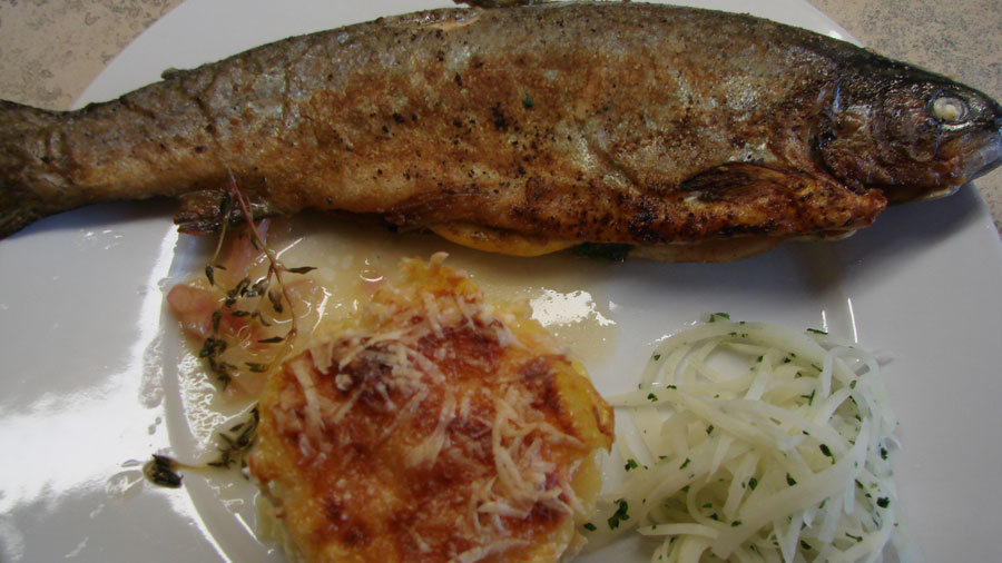 Forelle gebraten