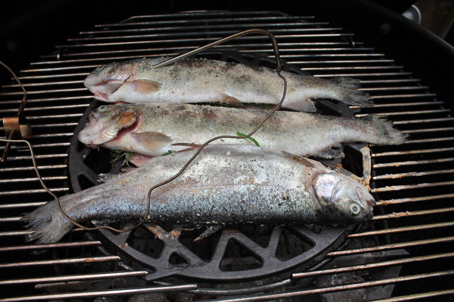 Forelle gegrillt