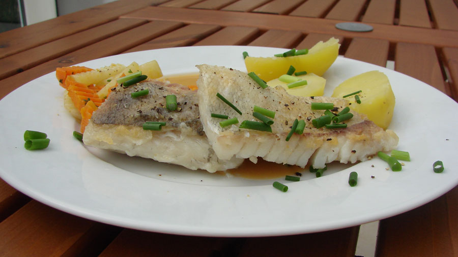 Zanderfilet auf der Haut gebraten mit Senfsauce